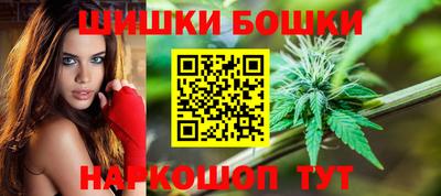 трава Сланцы