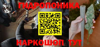 трава Сланцы