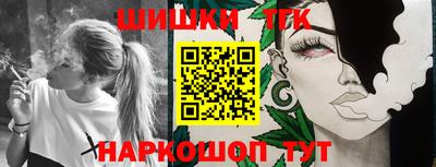 трава Сланцы